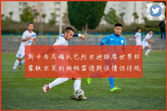 斯卡洛尼确认巴列尔迪缺席世界杯蒙铁尔莫利纳帕雷德斯伤情仍待观察