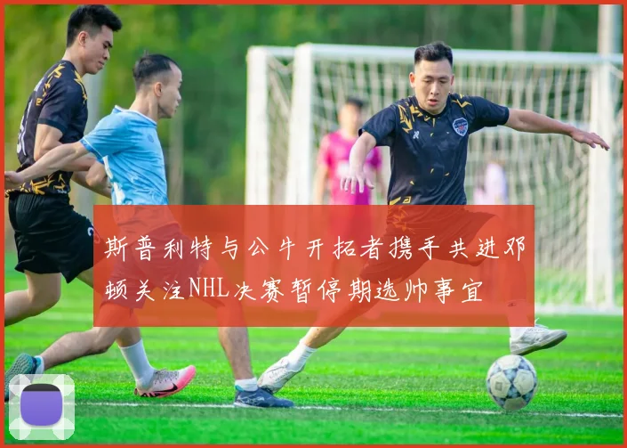 斯普利特与公牛开拓者携手共进邓顿关注NHL决赛暂停期选帅事宜