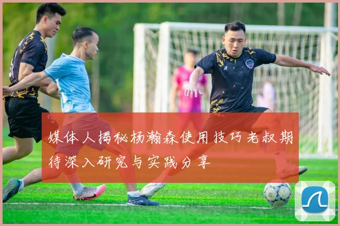 媒体人揭秘杨瀚森使用技巧老叔期待深入研究与实践分享
